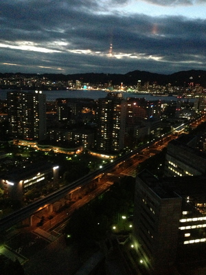 20130611_portpiahotel_yakei.jpg